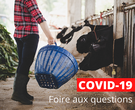 COVID 19