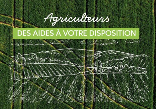 Agriculteurs : de aides à votre disposition